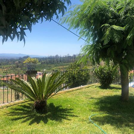 Solar Da Serra-Guesthouse Mangualde Kültér fotó