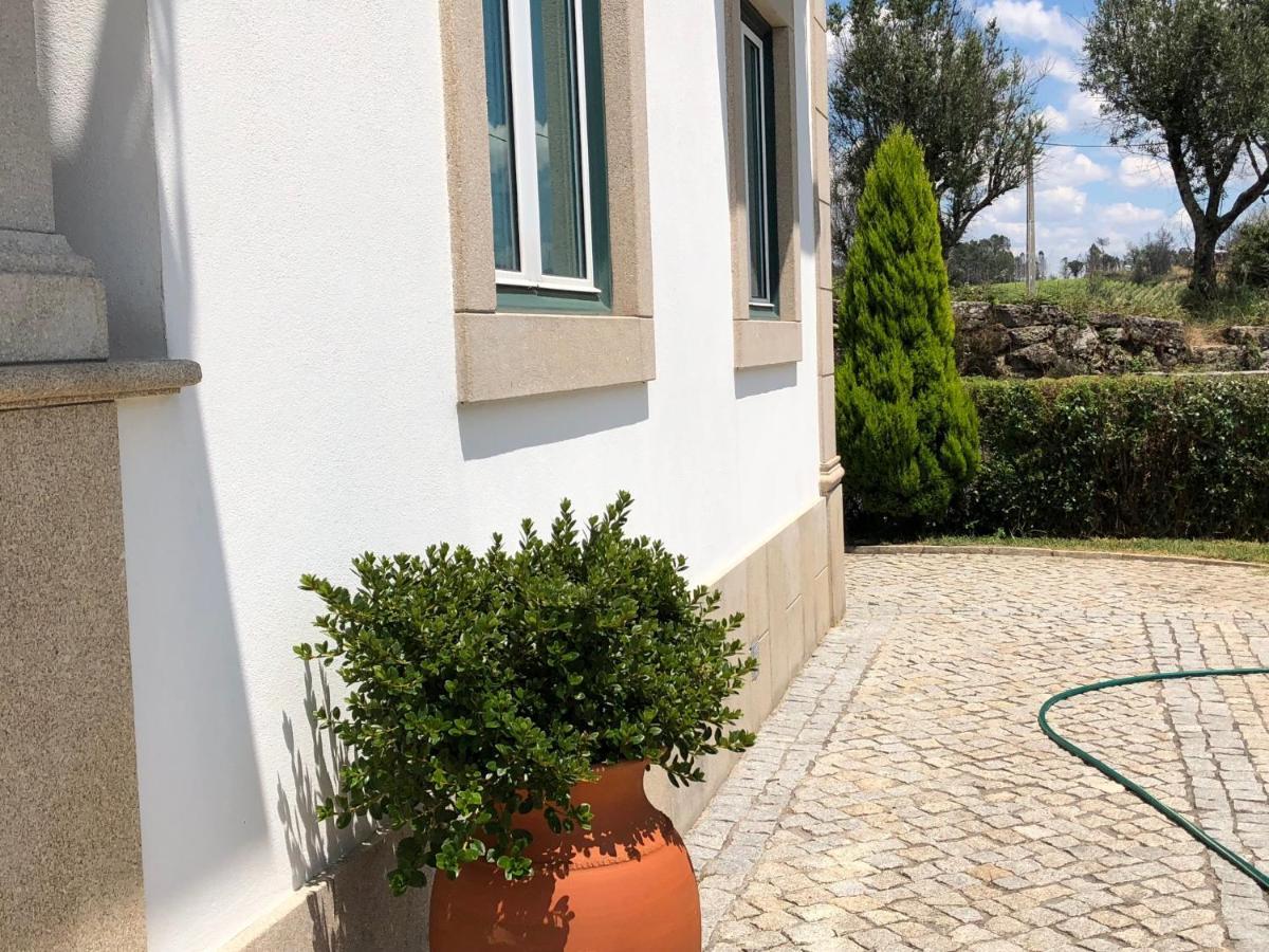 Solar Da Serra-Guesthouse Mangualde Kültér fotó