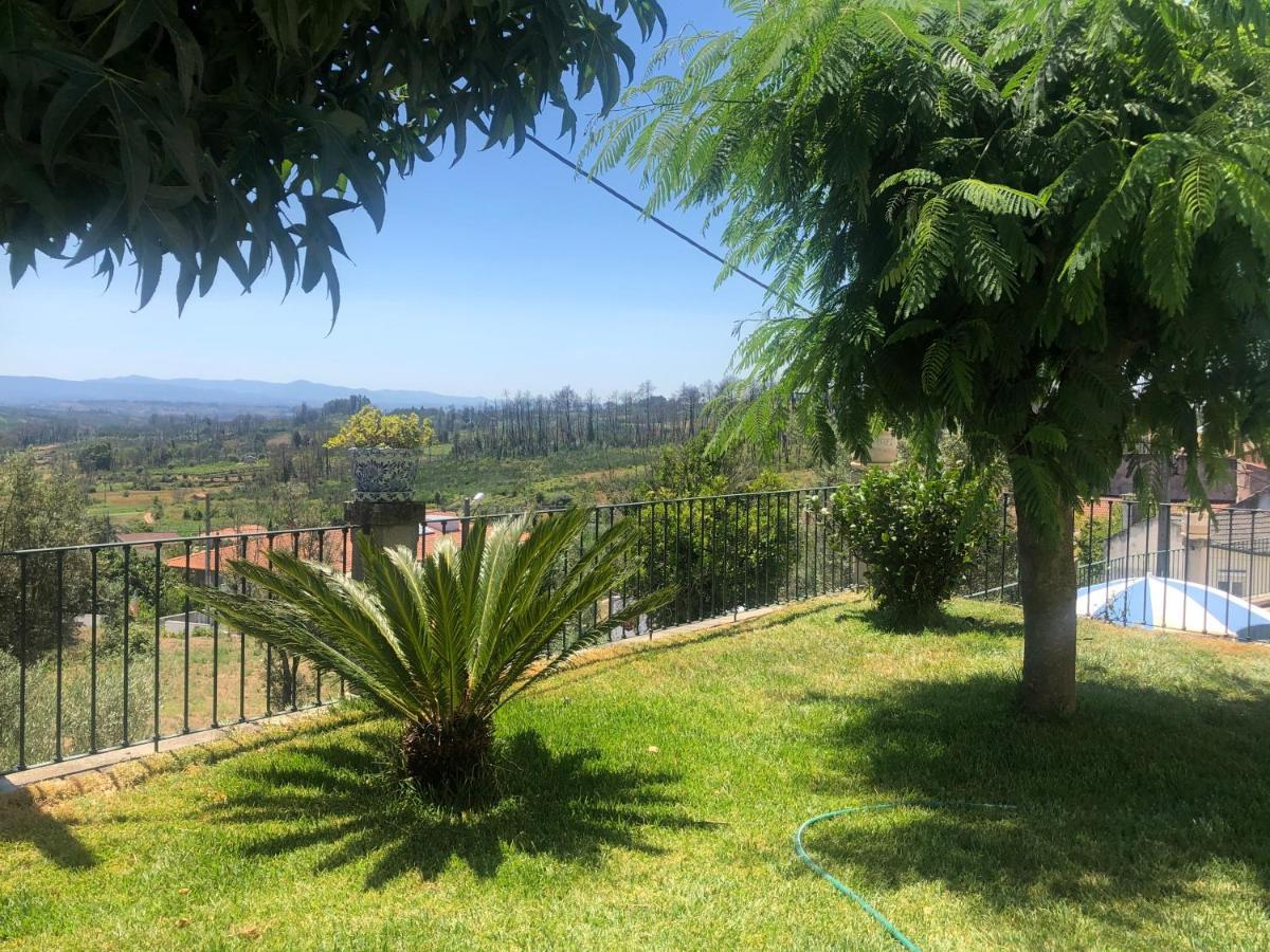 Solar Da Serra-Guesthouse Mangualde Kültér fotó