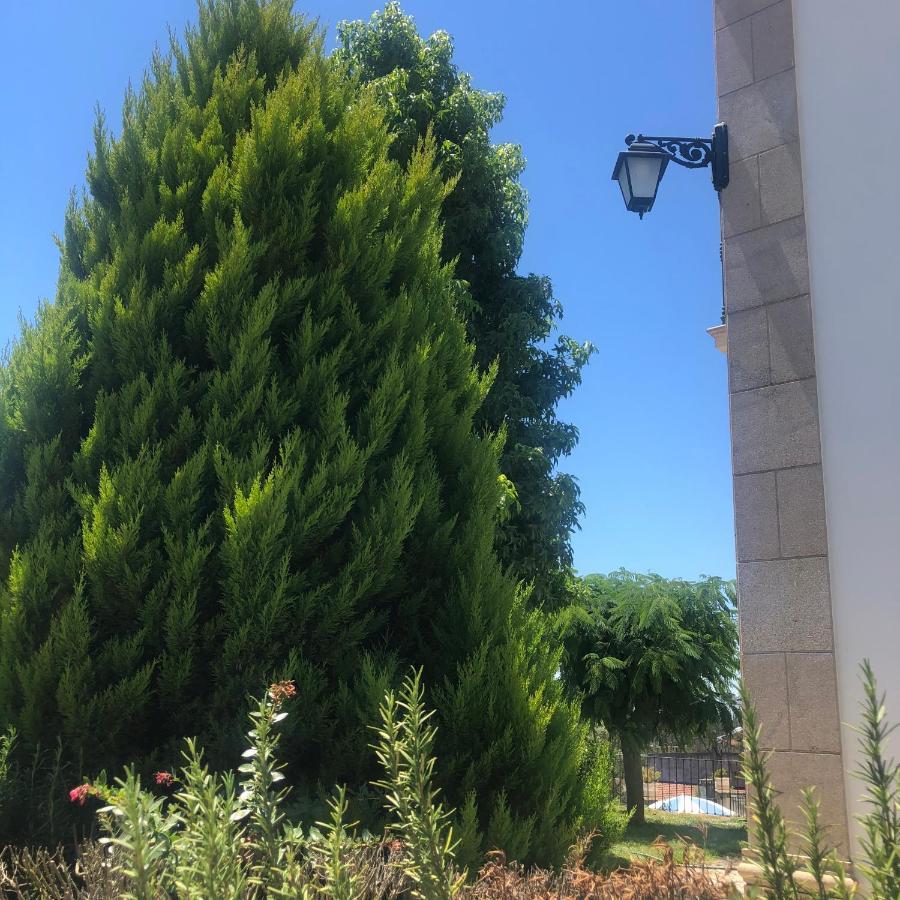 Solar Da Serra-Guesthouse Mangualde Kültér fotó